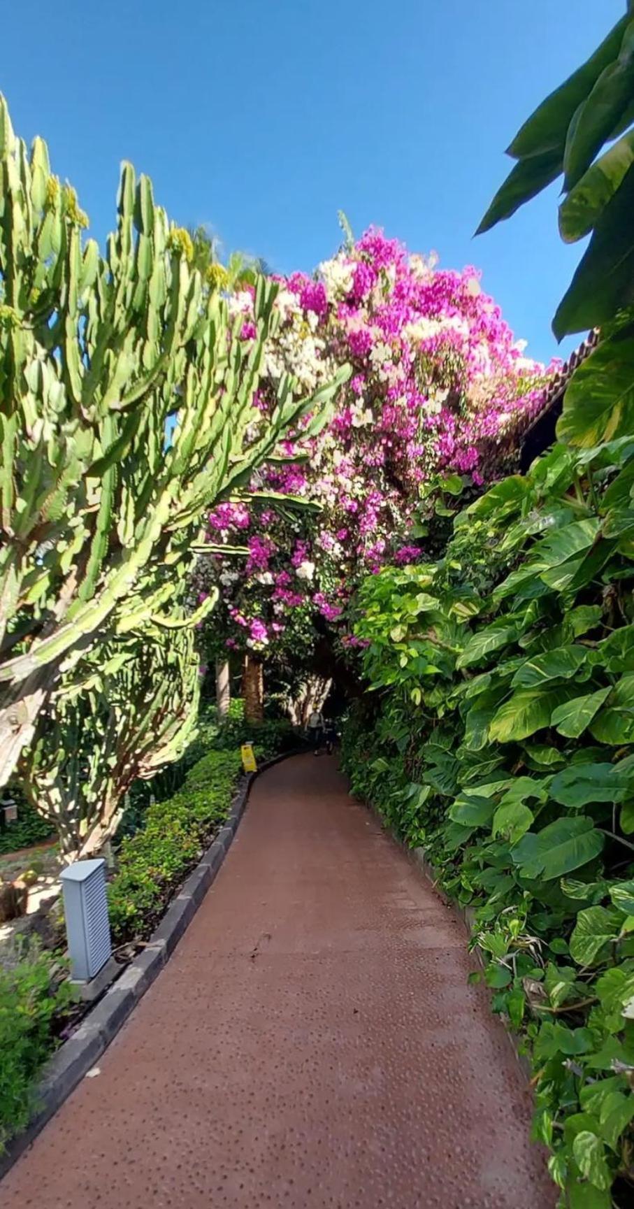 "Cathy'S Home"- Apart Luxury - Adult Only - Large Terrace Private Puerto de Santiago  Exteriör bild